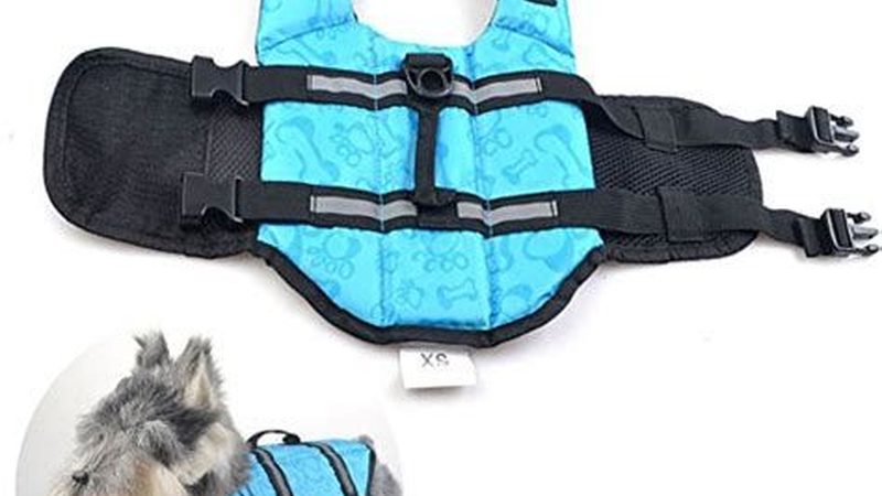 小型冷库维护保养，这些要点你掌握了吗？**